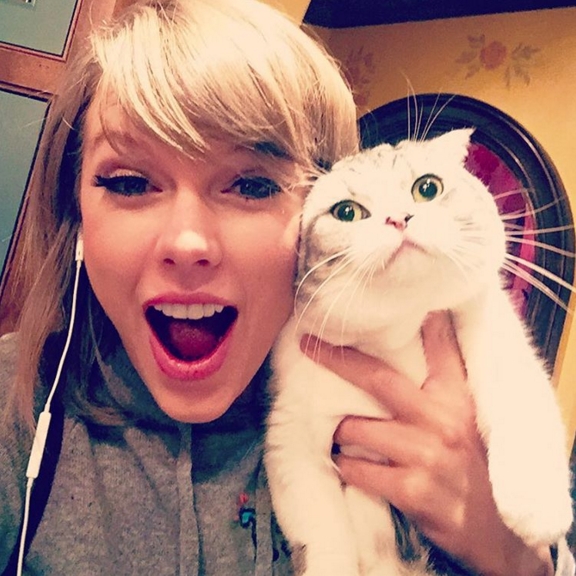
Bên cạnh những hình ảnh chụp cùng bạn trai hay lúc trình diễn, Taylor thường xuyên đăng tải ảnh "tự sướng" của cô nàng cùng chú mèo Meredith. Và với tấm ảnh này, "đôi bạn" đã nhận được 2,4 triệu like.
